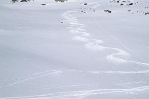 Sci alpinistico su neve fresca in Val Martello