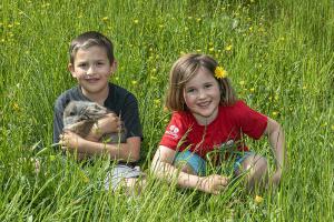 Vacanze con bambini in Val Martello