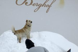 Der Berghof im Winter, Martelltal