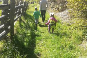 Gemütliche Wanderungen im Martelltal, Südtirol