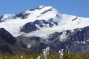 Le cime Zufall in Val Martello