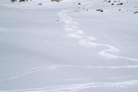 Eine Spur im Pulverschnee