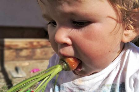 Frisches Gemüse vom Bauerngarten