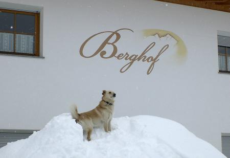 Unser Hund Cora freut sich über den vielen Schnee