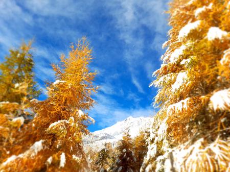 La Val Martello in inverno