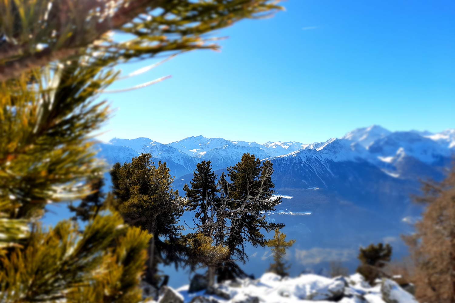 Val Martello in Alto Adige