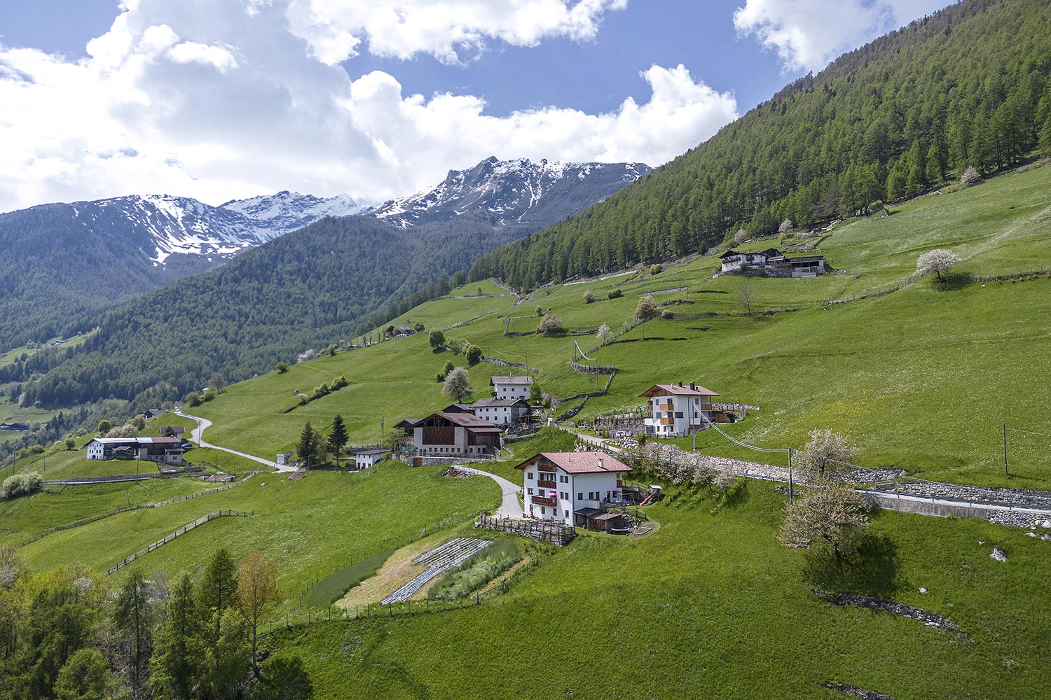 Berghof im Martelltal