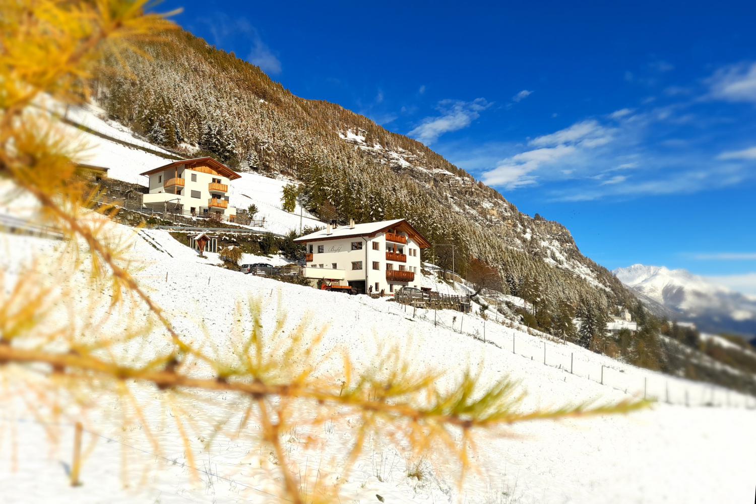 Der tief verschneite Berghof im Martelltal